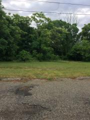 1004 Jefferson St, Albion, MI