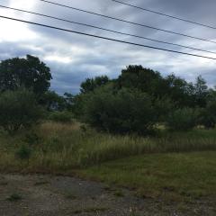 1000 Industrial Ave, Albion, MI