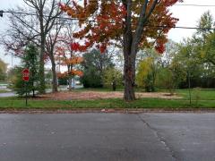 116 Mulberry St E, Albion, MI